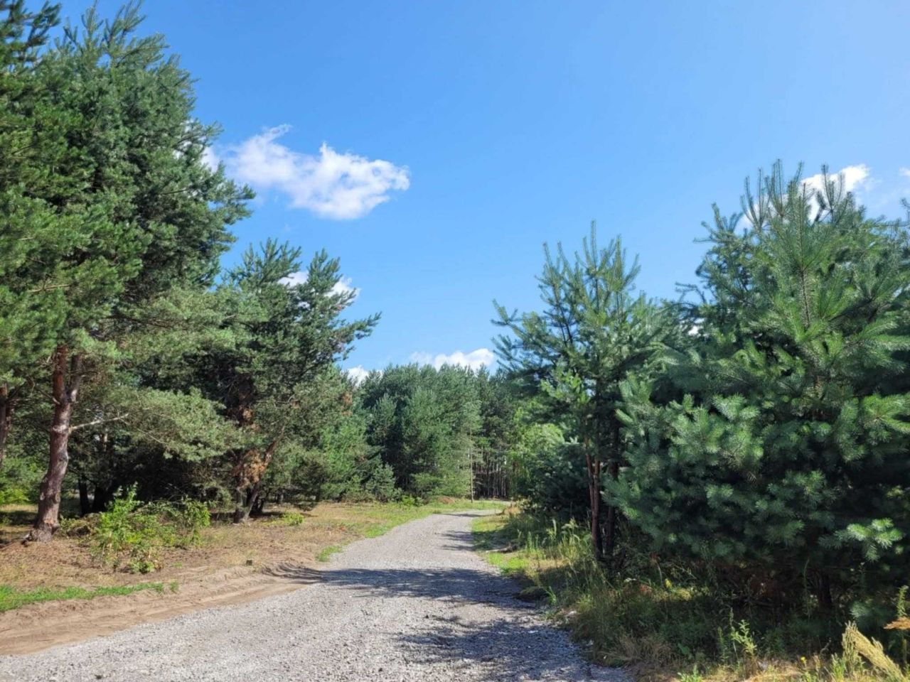 Działka budowlana Jeżowe Kowale. Zdjęcie 7