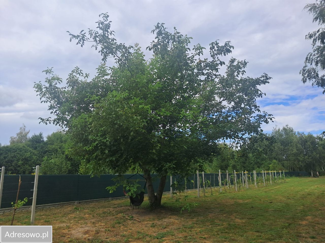 Działka rolno-budowlana Strojec, ul. Zacisze. Zdjęcie 7