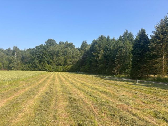 Działka budowlana Pietrzykowice, ul. Kalonka. Zdjęcie 1