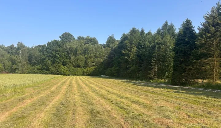 Działka budowlana Pietrzykowice, ul. Kalonka