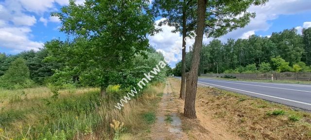 Działka siedliskowa Zimna Woda. Zdjęcie 5