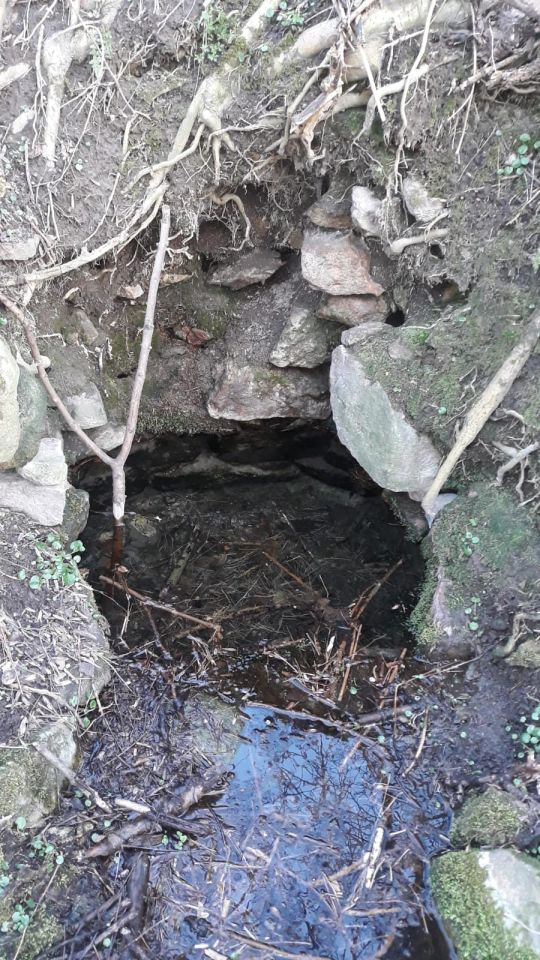 Działka rolno-budowlana Dobroszów. Zdjęcie 3