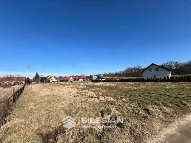 Działka budowlana Pszenno. Zdjęcie 2