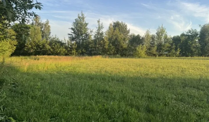 Działka budowlana Sławków