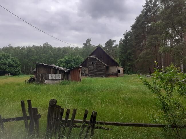 Działka leśna Jastrzębsko Stare. Zdjęcie 1