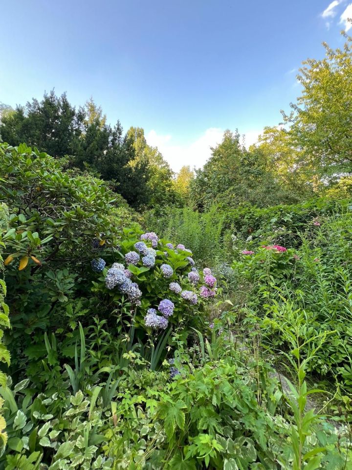 Działka rod Warszawa Mokotów, ul. Racławicka. Zdjęcie 3