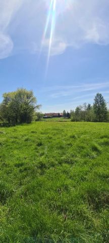 Działka rekreacyjna Antoninów. Zdjęcie 1