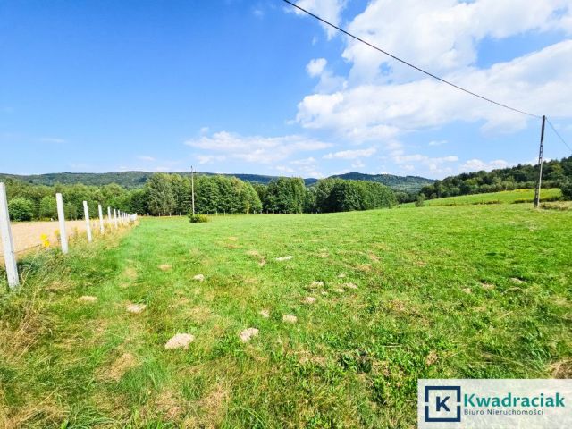 Działka budowlana Huta Gogołowska. Zdjęcie 12