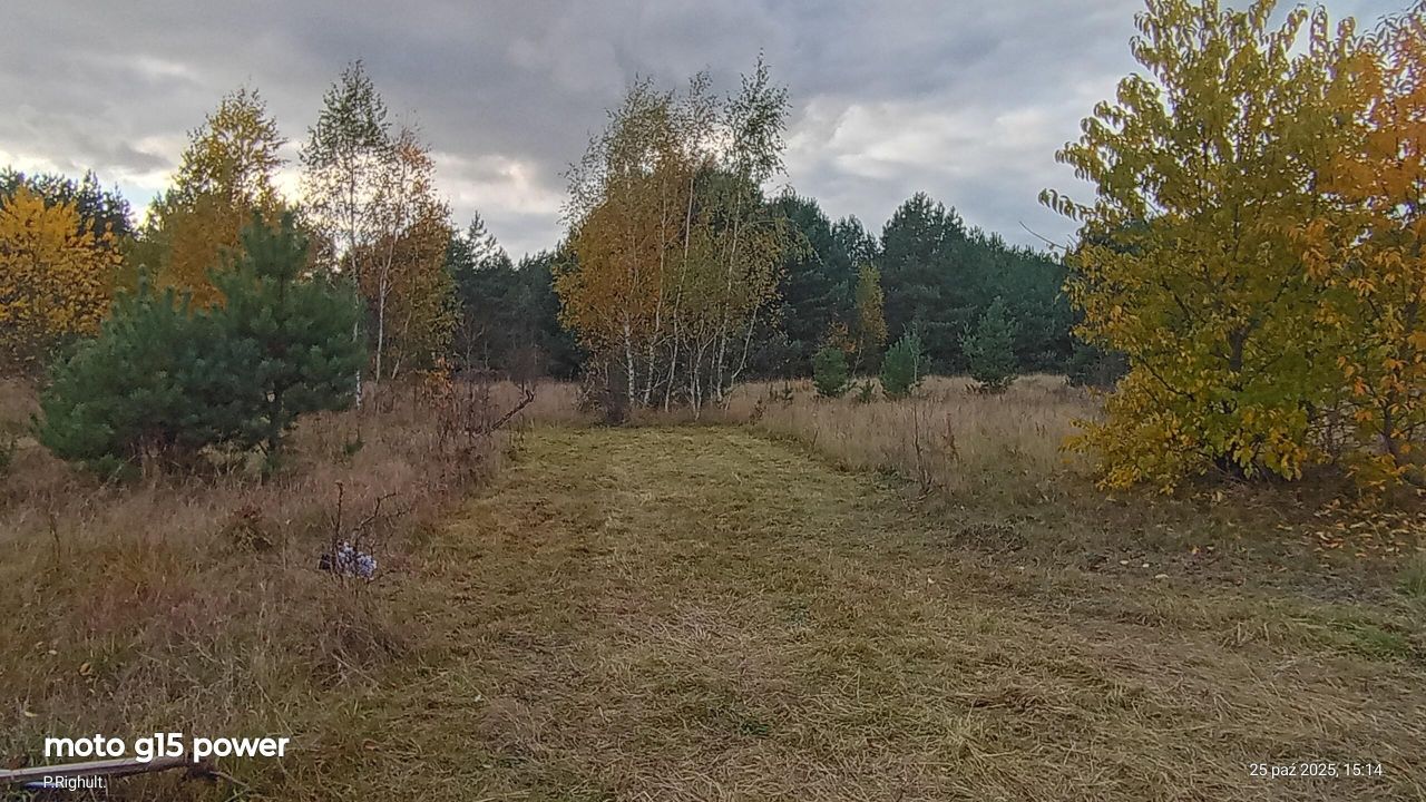 Działka siedliskowa Nowiny. Zdjęcie 5