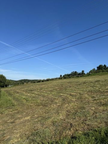 Działka budowlana Raciechowice. Zdjęcie 1