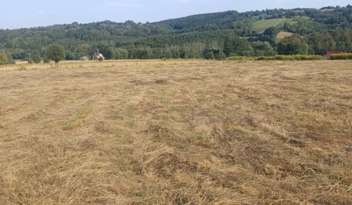 Działka budowlana Buchcice