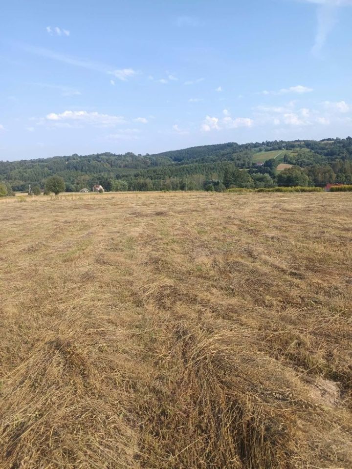 Działka budowlana Buchcice. Zdjęcie 1