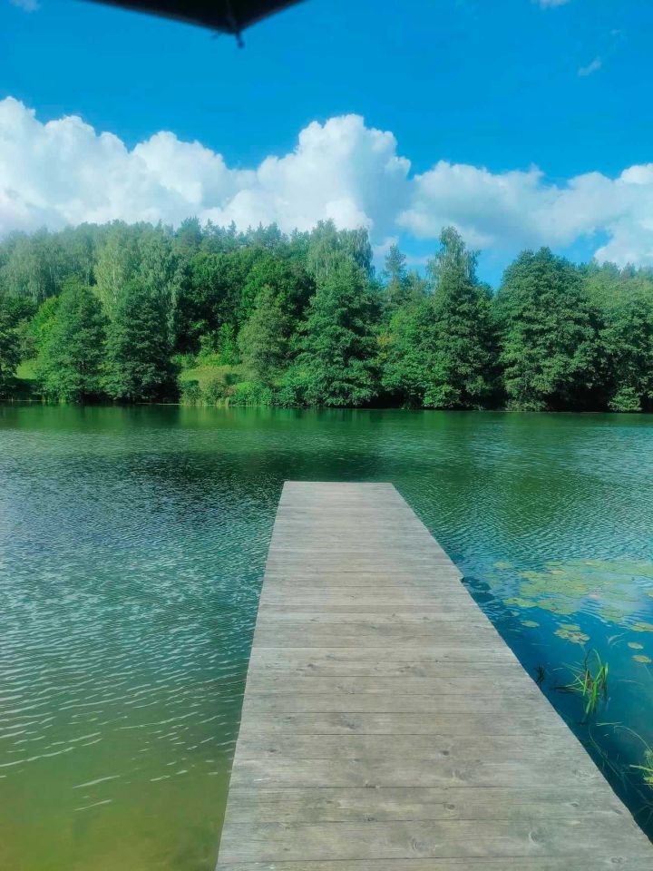 Działka rolno-budowlana Sidory. Zdjęcie 3