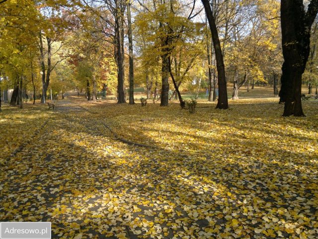 Działka budowlana Chorzów Klimzowiec, park na Górze Redena. Zdjęcie 1