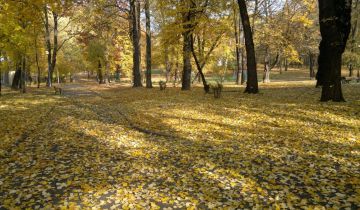 Działka budowlana Chorzów Klimzowiec, park na Górze Redena