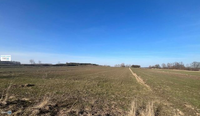 Działka Kostera. Zdjęcie 1