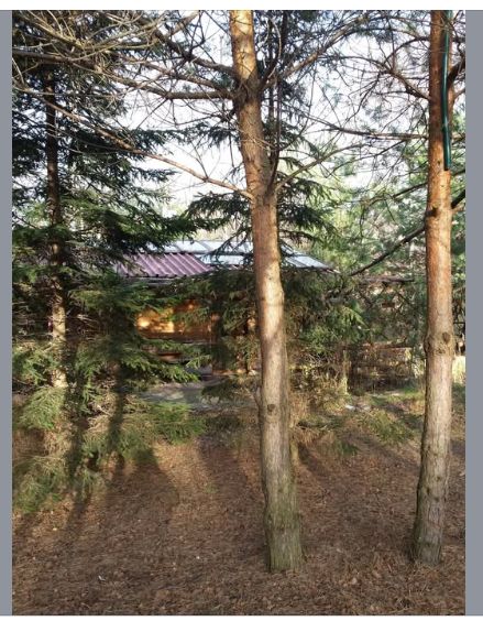 Działka rolna Odrzykoń