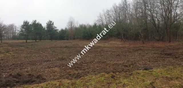 Działka budowlana Mroków. Zdjęcie 1