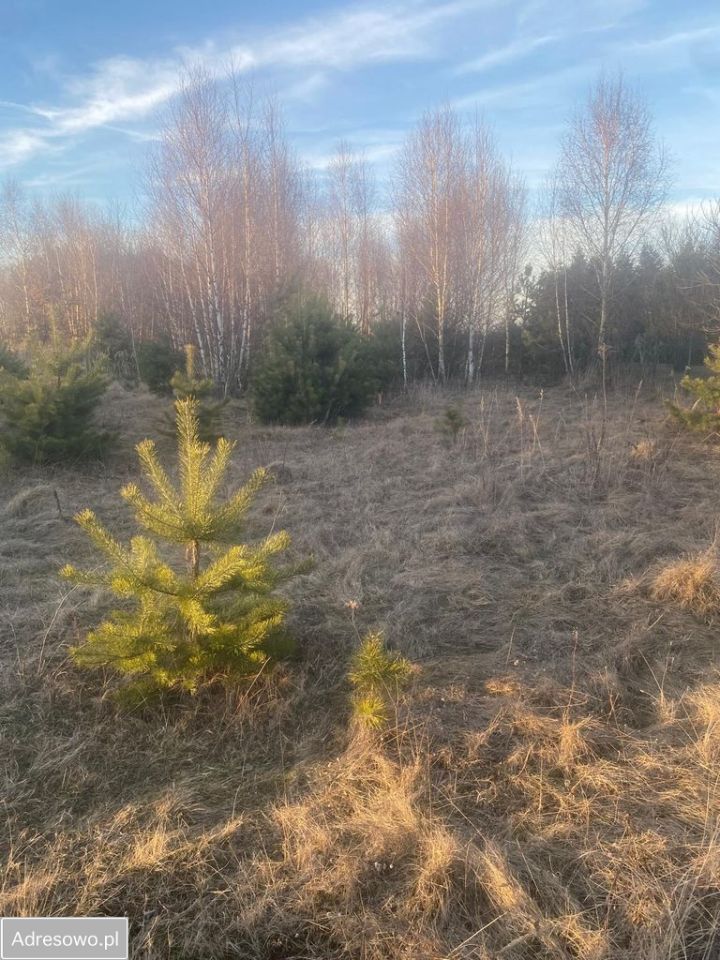 Działka budowlana Mierzęcice, ul. Głowackiego. Zdjęcie 5
