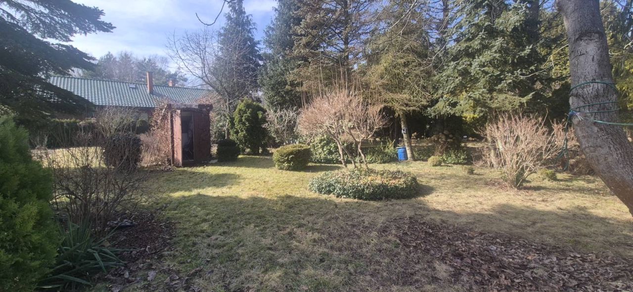 Działka rod Wrząca, ul. Wrzosowa. Zdjęcie 17