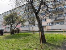 Mieszkanie 1-pokojowe Łódź Żabieniec, ul. Aleksandrowska. Zdjęcie 2