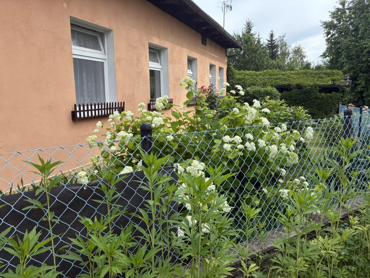 dom wolnostojący, 3 pokoje Piechowice, Kolejowa. Zdjęcie 3
