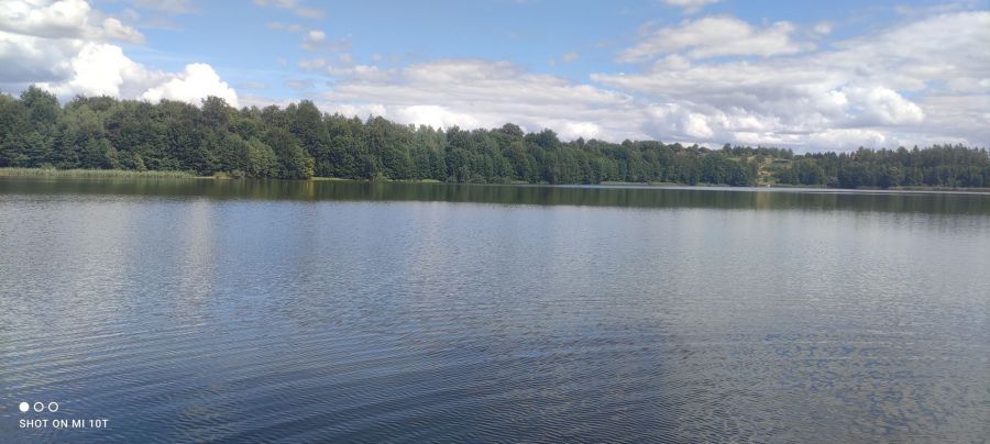 Działka budowlana Nowe Polaszki. Zdjęcie 2