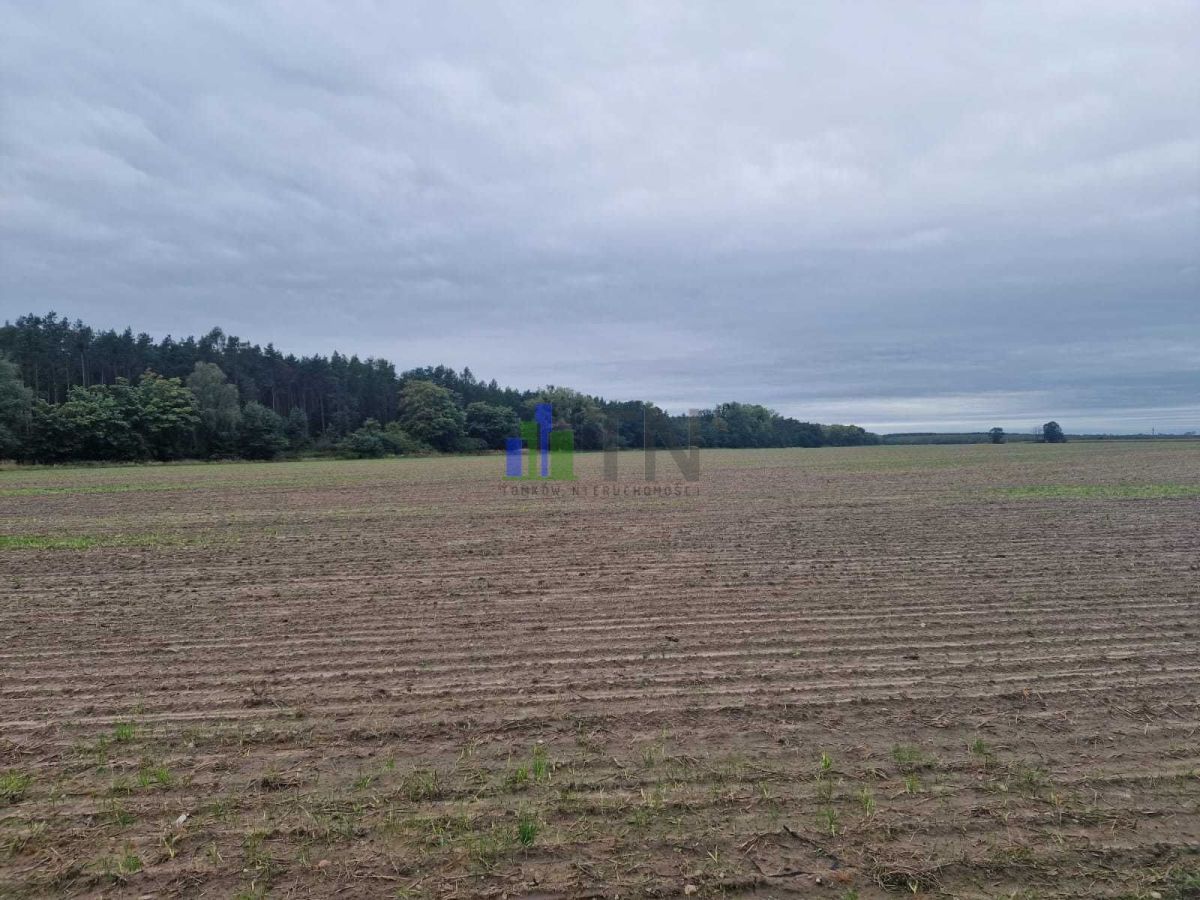 Działka budowlana Nowy Dwór. Zdjęcie 3