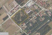 Działka inwestycyjna Dubicze Cerkiewne. Zdjęcie 3