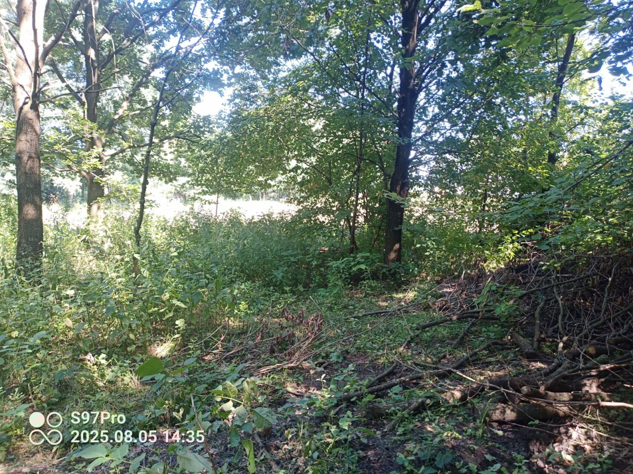 Działka rolno-budowlana Wola Rzędzińska. Zdjęcie 5