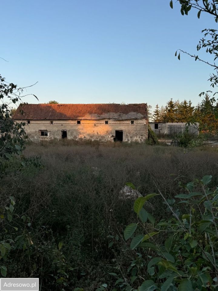 dom wolnostojący, 5 pokoi Stare Krzywe. Zdjęcie 12