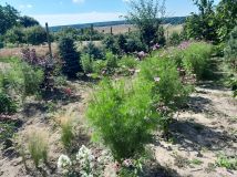 dom wolnostojący, 4 pokoje Grabowiec-Góra. Zdjęcie 4