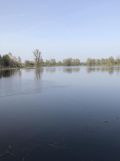 Działka rolna Stare Budy. Zdjęcie 1