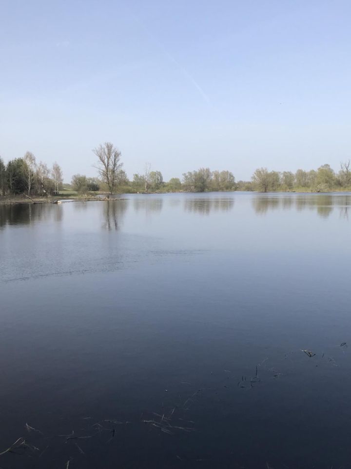 Działka rolna Stare Budy. Zdjęcie 2