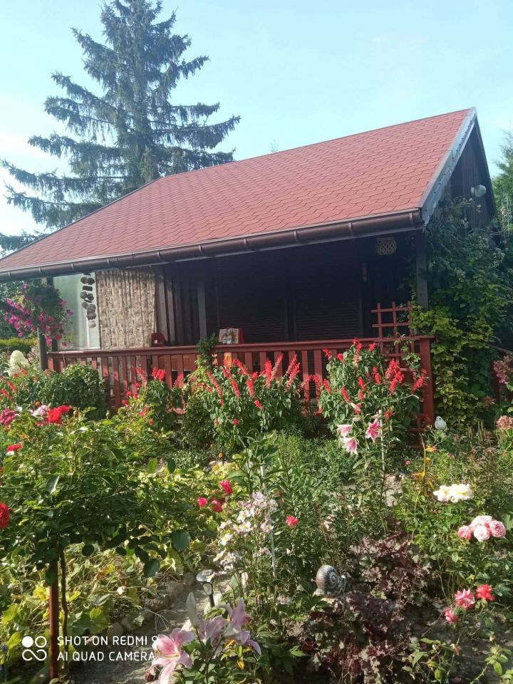 Działka rod Skierniewice. Zdjęcie 1