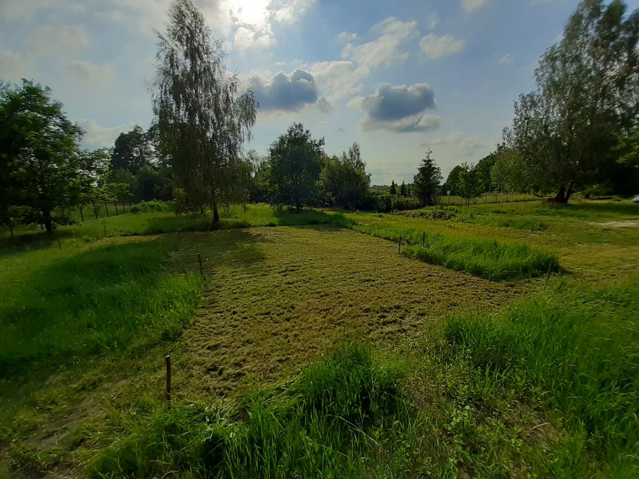 Działka budowlana Podbiel Krupińskie, Sosnowa. Zdjęcie 6