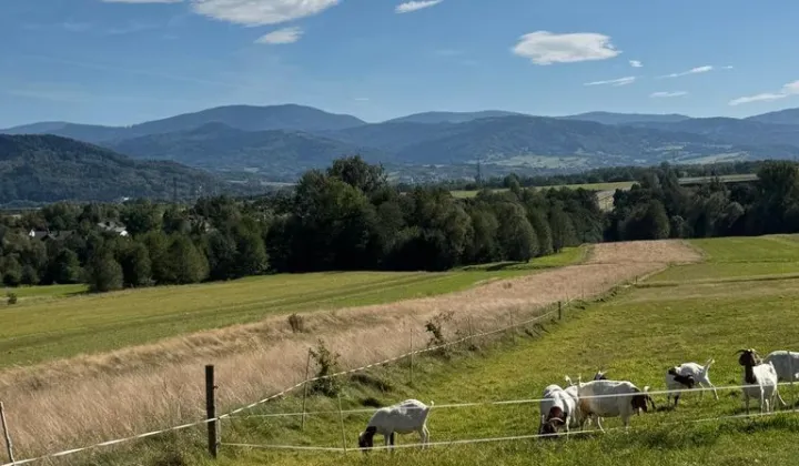 Działka budowlana Pietrzykowice, ul. Spokojna