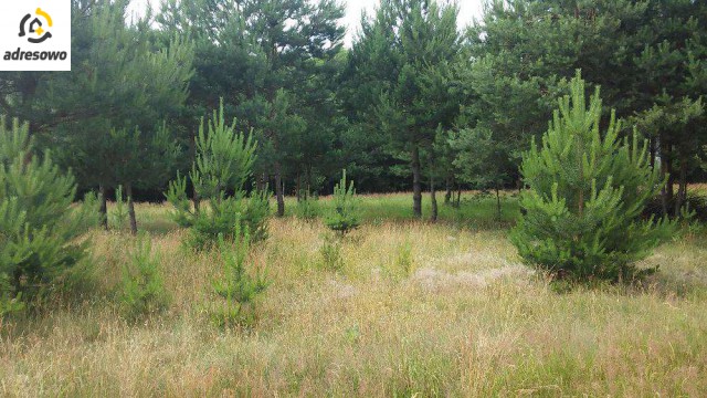 Działka budowlana Starawieś, ul. Maciejów. Zdjęcie 1