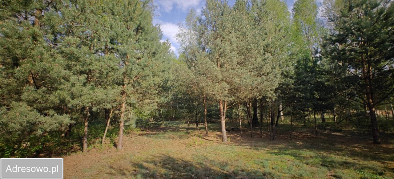 Działka budowlana Goździówka. Zdjęcie 12