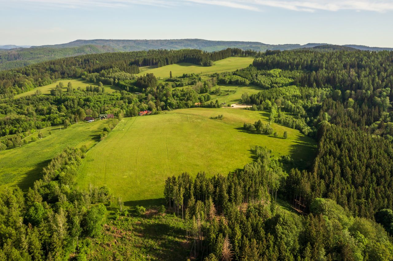 Działka budowlana Leśna. Zdjęcie 3
