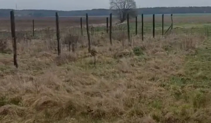 Działka budowlana Syców, ul. Bolesława Szczodrego