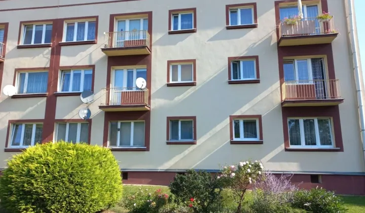 Mieszkanie 1-pokojowe Gryfów Śląski, ul. Uczniowska