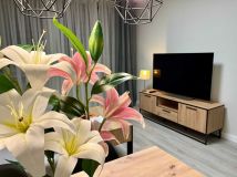 Mieszkanie 2-pokojowe Nowa Sól, ul. Aleksandra Fredry. Zdjęcie 1