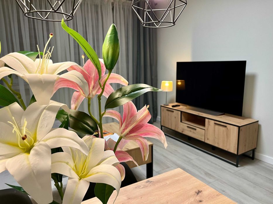 Mieszkanie 2-pokojowe Nowa Sól, ul. Aleksandra Fredry. Zdjęcie 2