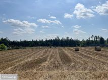 Działka rolno-budowlana Jeziorki. Zdjęcie 1