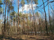 Działka budowlana Jeziora. Zdjęcie 2