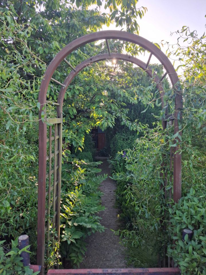 Działka rod Słupsk, al. 3 Maja. Zdjęcie 7