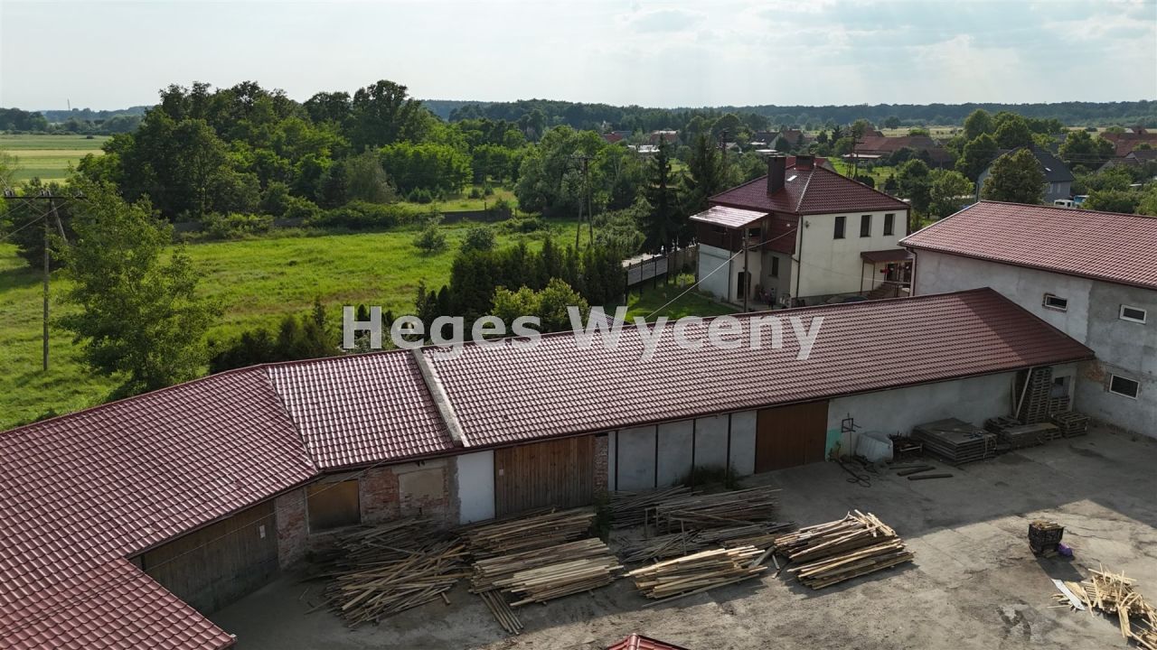 Lokal Szczytniki nad Kaczawą. Zdjęcie 10