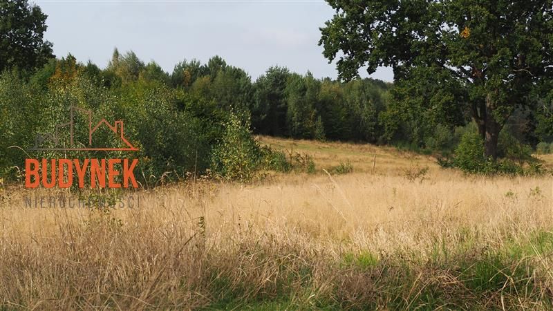 Działka rolna Karsino. Zdjęcie 5