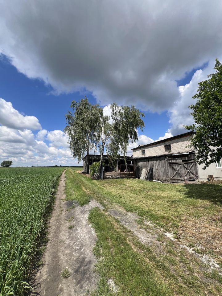 gospodarstwo, 2 pokoje Juliopol Pieńki, Juliopol. Zdjęcie 15
